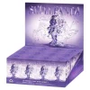 Pop Mart SkullPanda The Sound Series Sealed Case (12 Blind Box) - US